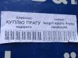 Активісти відповіли Земану: Пропонують продати Прагу (фото)