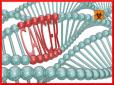 Секретні агенти раку: Медики пояснили, як вбивають канцерогени