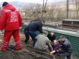 На Закарпатті мікроавтобус із пасажирами зірвався в прірву (фото)