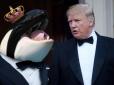 Одна літера, але яка різниця: З Трампа глузують через твіт про зустріч з 