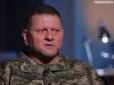 ЗСУ можуть звільнити Крим, Донецьку і Луганску області, але це великий об'єм роботи, - Залужний