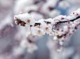 Готуйтеся! Синоптик розповіла, коли в Україні вдарять заморозки й буде сніг