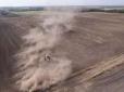 Житниця держави обертається на мертві піски: В Угорщині утворюється найбільша пустеля  Європи